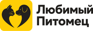 На главную