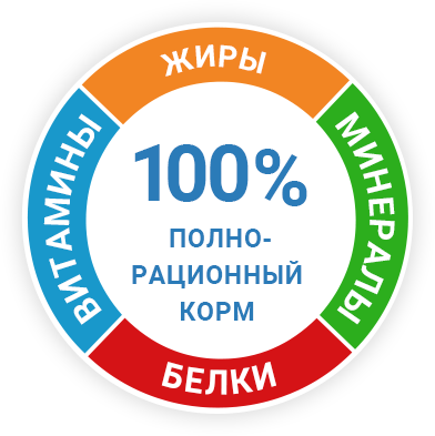 Центральная картинка